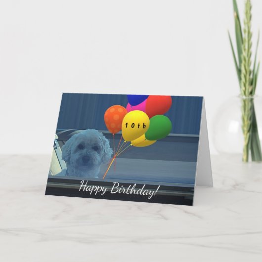 Carte Personnaliser Doggie standard Joyeux anniversaire (Devant)