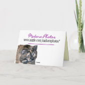 Carte Personnaliser du jour de Tazzie (Dos)