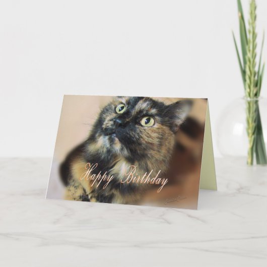 Carte Personnaliser du jour de Tazzie (Devant)