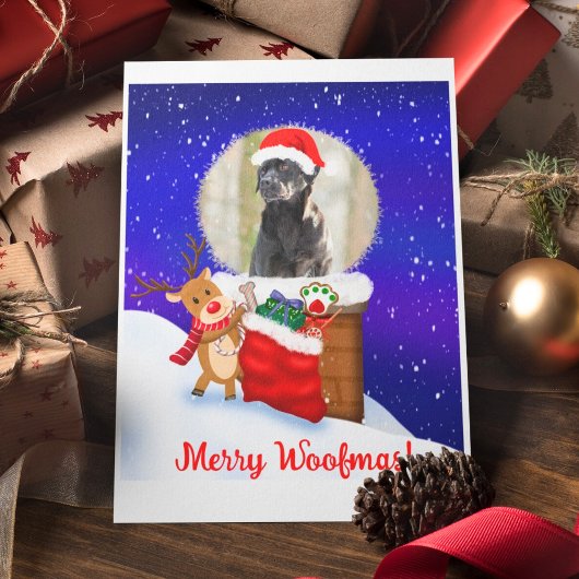 Carte Personnalisez Chien Père Noël Toit Renne Avec Cade