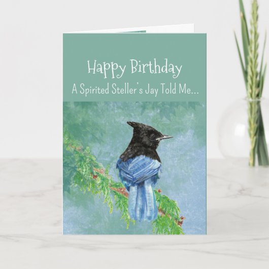Carte Personnalité Jay Stellaire Anniversaire Fun Bird (Devant)