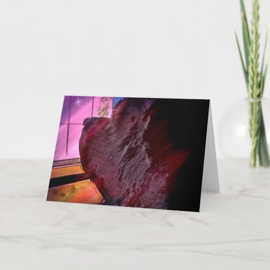 Carte ~ Perte d'animal ~ (Devant)