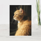 Carte Perte d'animal familier… (Devant)