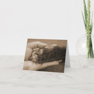 Carte Perte d'animal familier - contact d'un ange