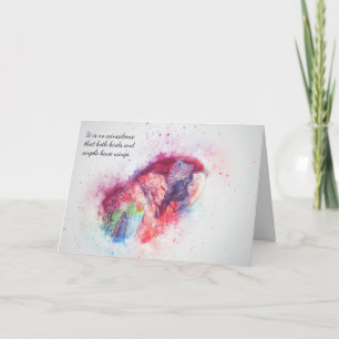 Carte Perte de l'animal de compagnie Macaw Sympathie per