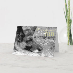 Carte Perte d'un animal de compagnie