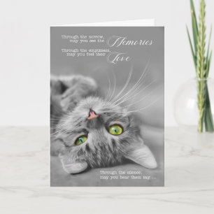 Carte Perte d'un chat animal de compagnie Sympathy Argen