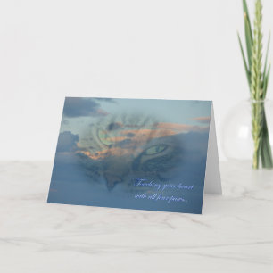 Carte Perte d'un chat. Perte d'un animal de compagnie. C