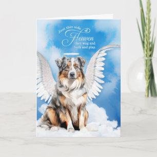 Carte Perte d'un chien Berger Australien Sympathie pour 