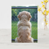 Carte Perte d'un chien de compagnie regardant à travers  (Fleur jaune)