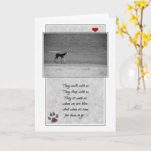 Carte Perte d'un chien de plage thème animal de compagni (Fleur jaune)