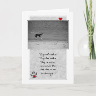 Carte Perte d'un chien de plage thème animal de compagni