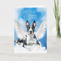 Perte d'un chien Manteau Grande Dane Sympathie de