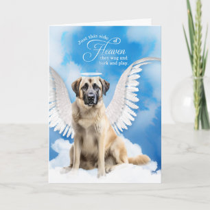 Carte Perte d'un chien Pasteur anatolien Sympathie pour
