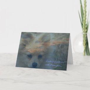 Carte Perte d'un chien. Perte d'un animal. Condoléances