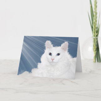 Carte Pet chat perte sympathie