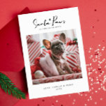 Carte Pet Christmas Photo Card "Santa Paws" Flat Card<br><div class="desc">Pet Christmas Photo Card "Santa Paws" Flat Card</div>