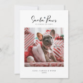 Carte Pet Christmas Photo Card "Santa Paws" Flat Card (Devant)