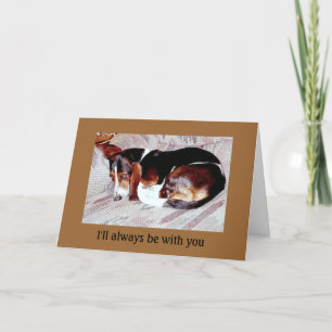 Carte Pet Loss Sympathy: Loss of Dog Greeting Cards