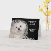 Carte Pet (maltais) Get Well Bientôt Card sur Black/Whit (Fleur jaune)