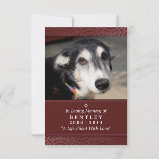 Carte Pet Memorial 3,5 x 5" Rouge - Ne pas pleurer (Devant)