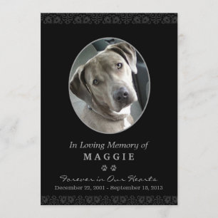 Carte Pet Memorial 5"x7" cadre photo noir ovale