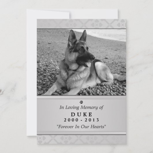 Carte Pet Memorial 5"x7" Gris Photo moderne (Devant)