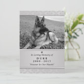Carte Pet Memorial 5"x7" Gris Photo moderne (Debout devant)