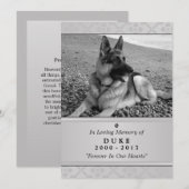 Carte Pet Memorial 5"x7" Gris Photo moderne (Devant / Derrière)