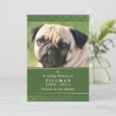 Carte Pet Memorial 5"x7" photo verte (Debout devant)