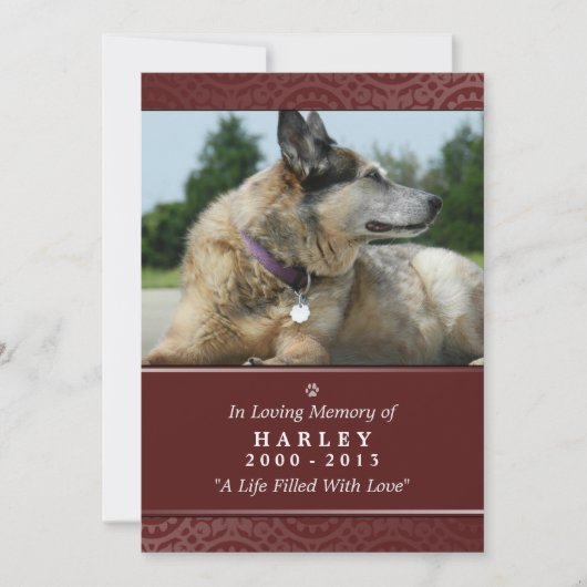 Carte Pet Memorial 5"x7" Rainbow Bridge (Homme) (Devant)