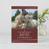 Carte Pet Memorial 5"x7" Rainbow Bridge (Homme) (Debout devant)
