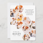 Carte Pet Memorial Modern Simple 10 Photo Collage Card (Devant)