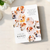 Carte Pet Memorial Modern Simple 10 Photo Collage Card