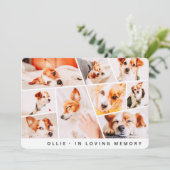 Carte Pet Memorial Modern Simple Chic 9 Photos Collage (Debout devant)