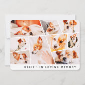 Carte Pet Memorial Modern Simple Chic 9 Photos Collage (Devant)