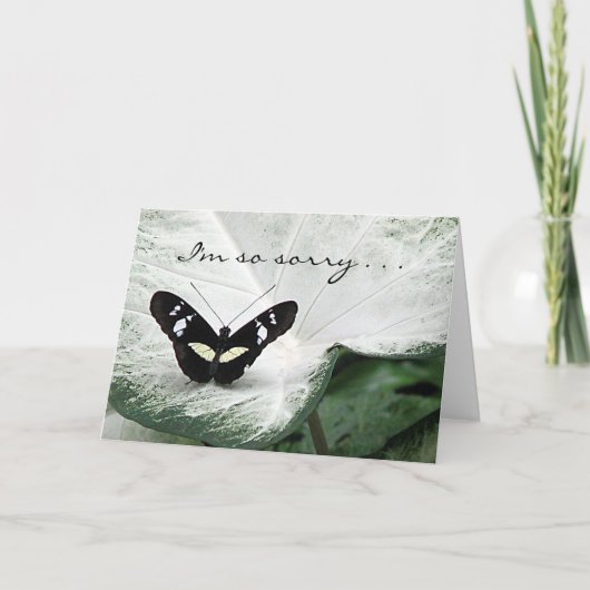 Carte Pet Smpathy - papillon (Devant)