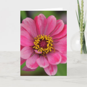 Carte pétales de fleurs roses