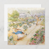 Carte Peter le lapin dans le jardin de M. Mc Gregor (Devant / Derrière)