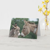 Carte Petit âne (Fleur jaune)