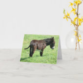 CARTE PETIT ÂNE (Fleur jaune)