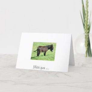 Carte PETIT ÂNE, Mlle vous…