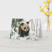 Carte Petit animal de panda sur la neige, Wolong, (Fleur jaune)