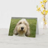 Carte Petit Basette Griffon Vendeen (Fleur jaune)