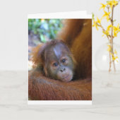 Carte Petit bébé Orangutan (Fleur jaune)