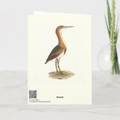 Carte Petit Bittern (Ixobrychus exilis) Oiseaux de New Y (Dos)