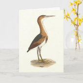 Carte Petit Bittern (Ixobrychus exilis) Oiseaux de New Y (Fleur jaune)