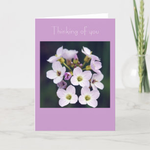 Carte Petit bouquet de ressort