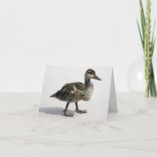 Carte Petit canard