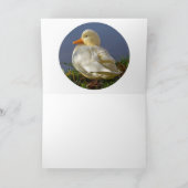 Carte Petit canard blanc (Intérieur)